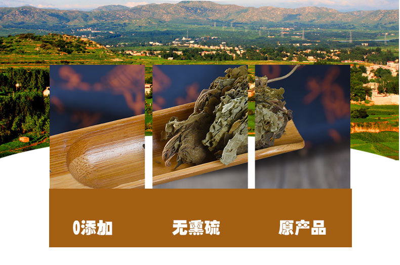 Chou Wu Tong Leaves (Clerodendrum trichotomum) — Dried Herbal Leaf for Traditional Decoctions quality and texture