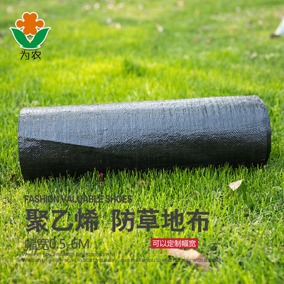 園藝地布透氣防草布黑色除草墊布大棚PE地膜果園抑草地布園林工具