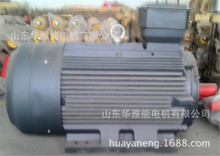 ABM-315M-4-132KW늙C늙CD4O1490D132KW