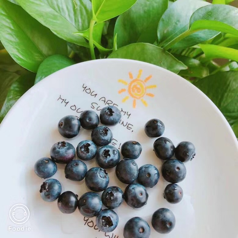 Shandong Qingdao Blueberry greenhouse Blueberry 125g*4 Shunfeng Air transport Deliver goods