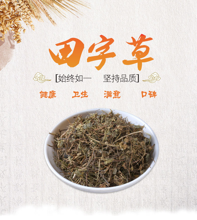 Tian Zi Cao (Marsilea quadrifolia) — Dried Four-Leaf Clover Water Herb, 500g overview