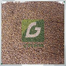 ����ÓƤ�C