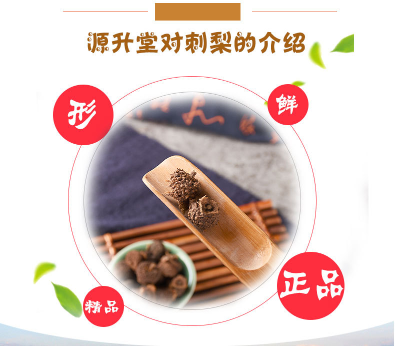 Ci Li Fruit (Rosa roxburghii) — Dried Guizhou Thorny Rose Fruit, Food-Herb Botanical key features