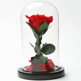 厂家直销玫瑰花 玻璃罩野兽小王子玫瑰永生花创意生日礼品批发