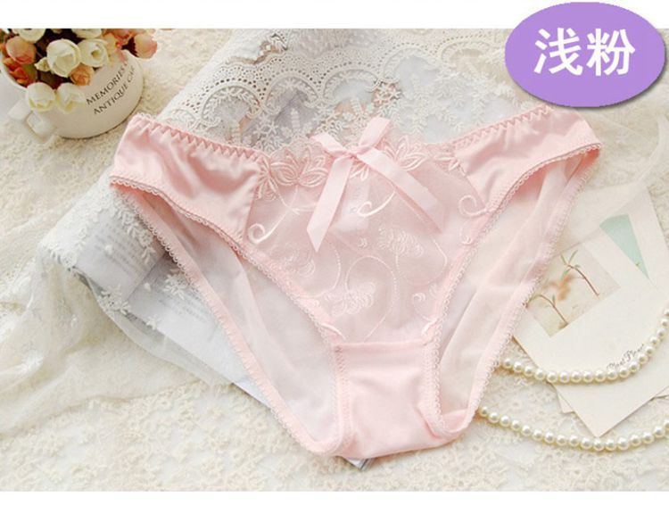 perspective hollow embroidery panty NSXQ15149