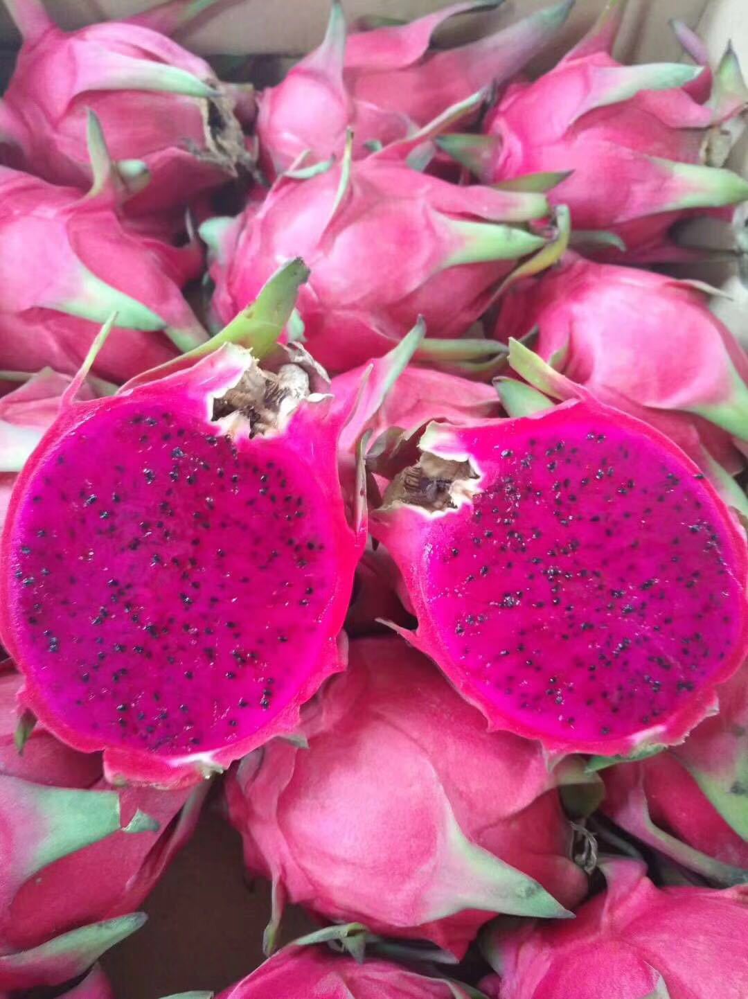 Place of Origin Source of goods Guangxi Waldo Number one Red Pitaya 5 fresh pitaya wholesale fruit One piece On behalf of