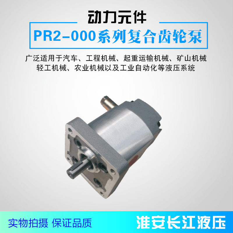 PR2-000系列复合齿轮泵高效液压齿轮油泵厂家直发现淮安长江液压