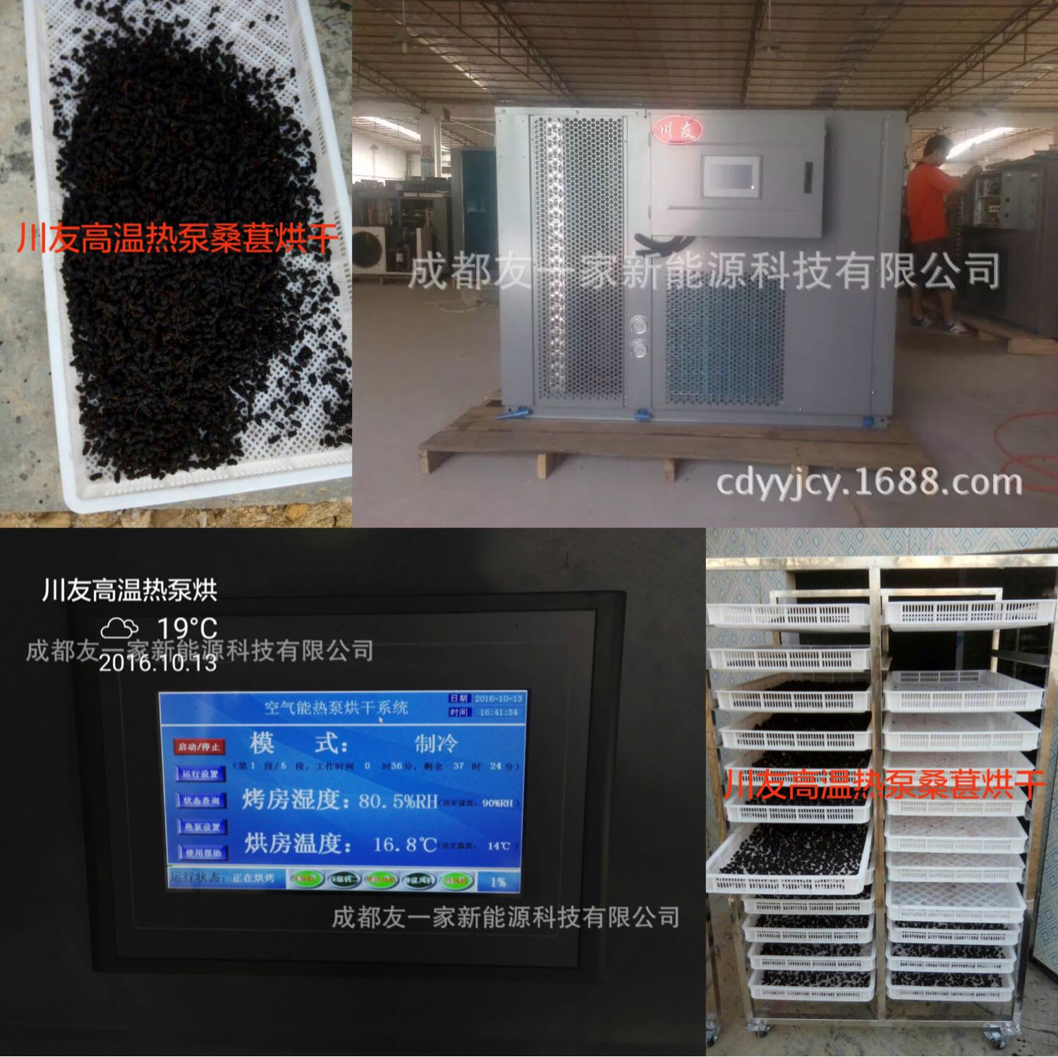 箱式热泵桑葚烘干机 空气能桑葚干烘干机 桑果桑葚子智能烘干设备