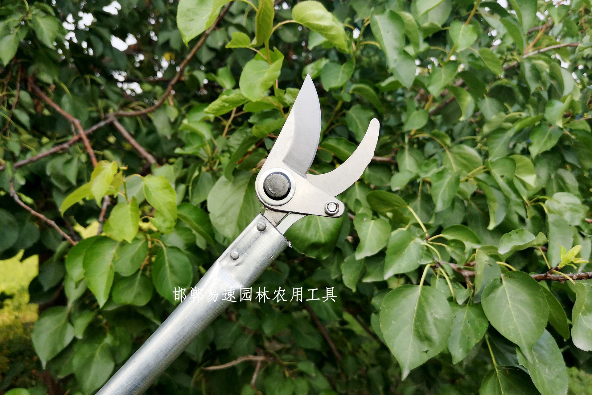高枝剪刀高空修枝剪高枝剪枝剪 1.5米长高空剪树枝剪刀果树打尖剪-阿里巴巴