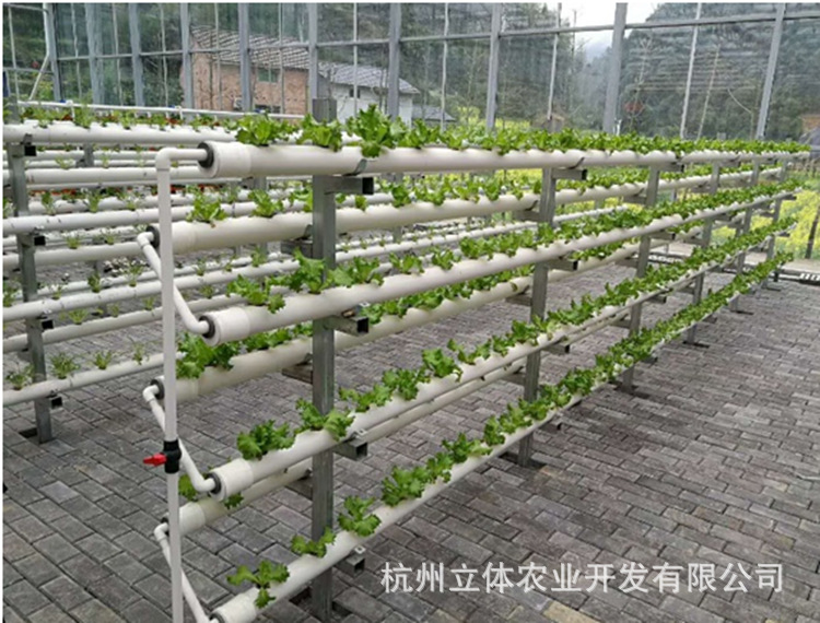 现代都市中的农业绿洲——无土栽培槽引领绿色革命