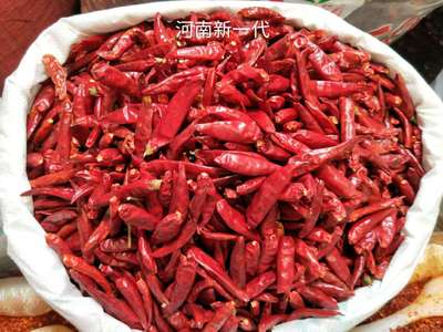 天鹰小椒微辣颜色好 河南新 一 代干辣椒批发 火锅调味品香料底料
