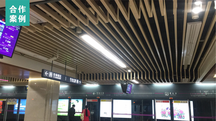 ���� 1_r37_c1_s1