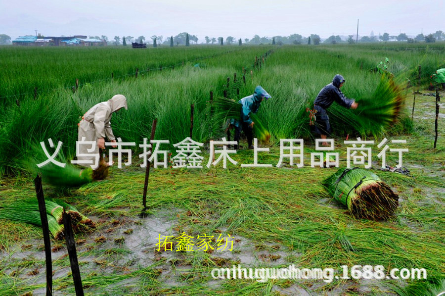 7988013510_1481397257