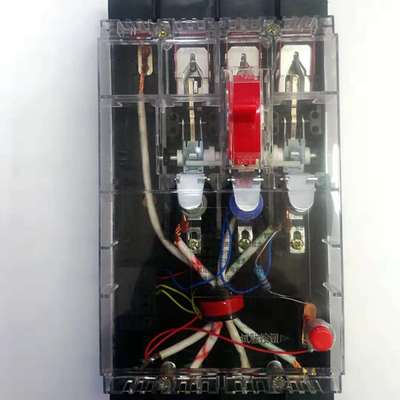 批發DZ15LE-100/490漏電斷路器 透明可視家用漏電保護器 品質保證