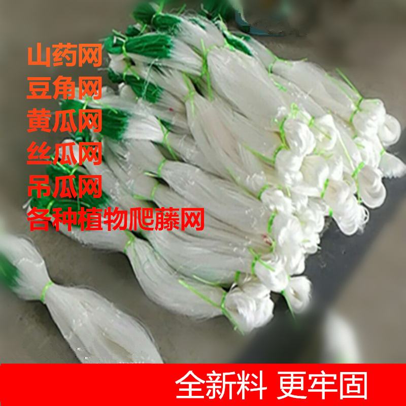 548025577896356040_副本_副本