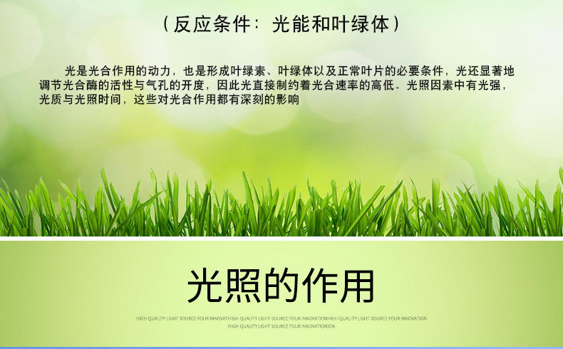 新阿凡达详情页_03