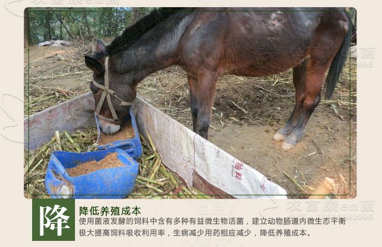 养猪em菌液.jpg