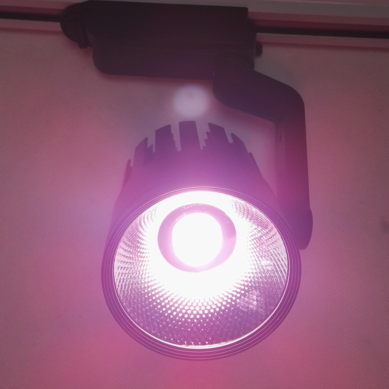 Fresh lighting selection COB Track light COB Pork lights Vegetable and Fruit Guide Lamp Face lighting COB Dried fruit lamp