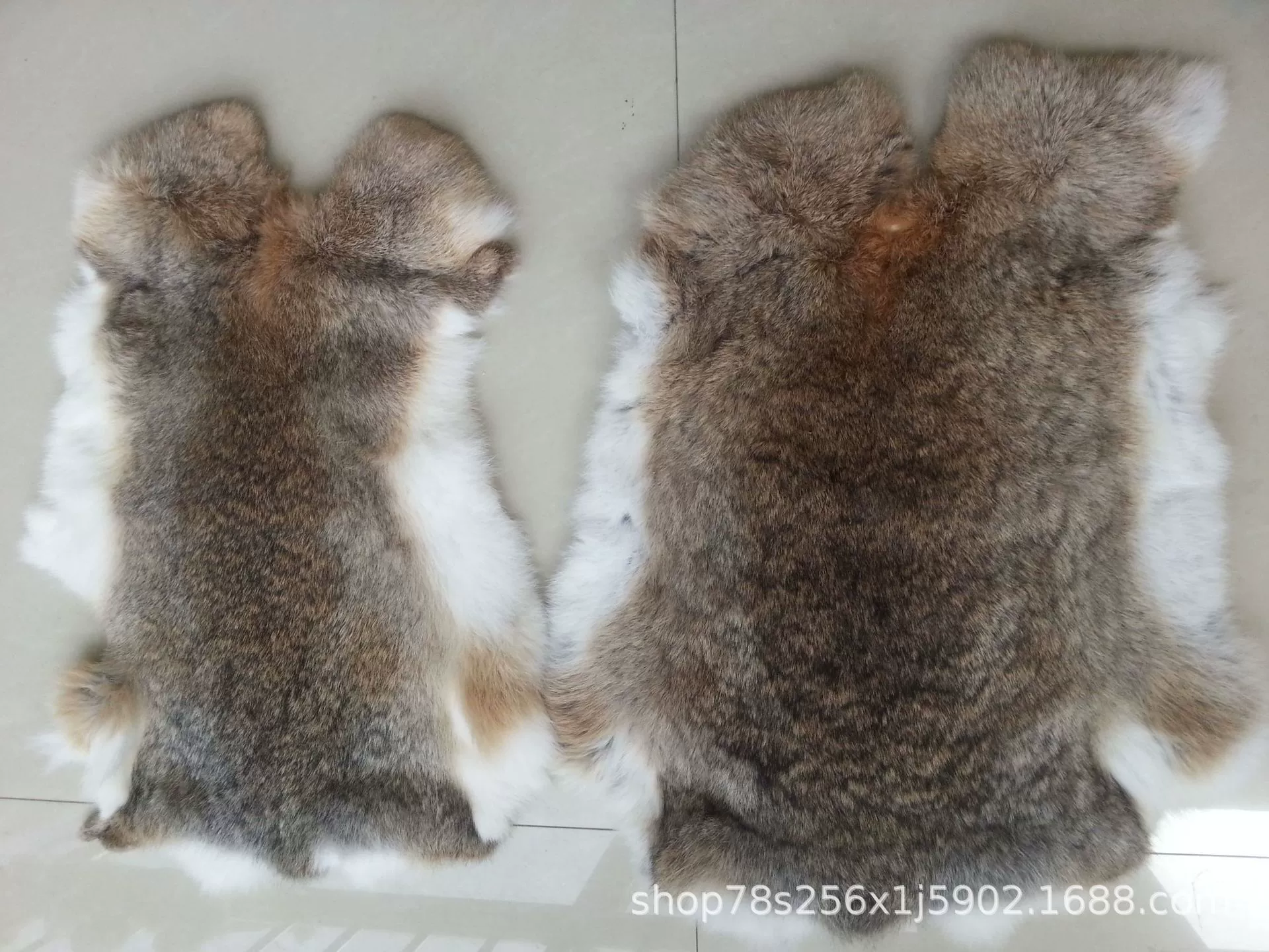  Supply rabbit skin natural color white grass -colored gray house rabbit leather grass grass rabbit skin