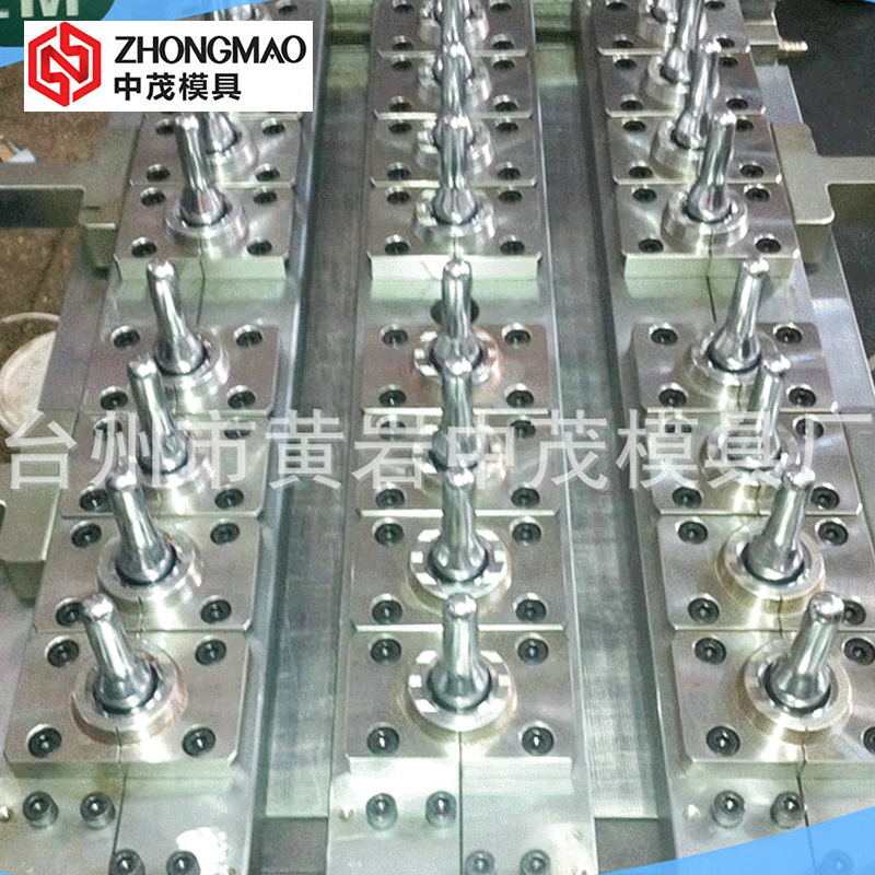 酒精瓶/消毒水瓶坯模具厂家  瓶胚模具台州 吹塑瓶胚模具