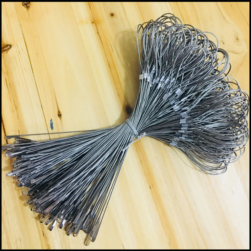 IMG_3539(20180220-015832)