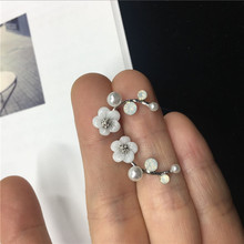 韩国新款贝壳花朵珍珠耳钉 简约树枝耳环 气质时尚OL耳饰女