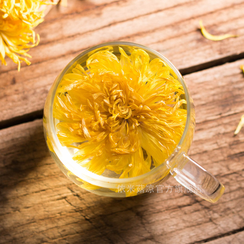 A single Huangshan Golden Silk Chrysanthemum in a cup, wholesale large chrysanthemum tea, one flower per brew, bagged Golden Silk Chrysanthemum.