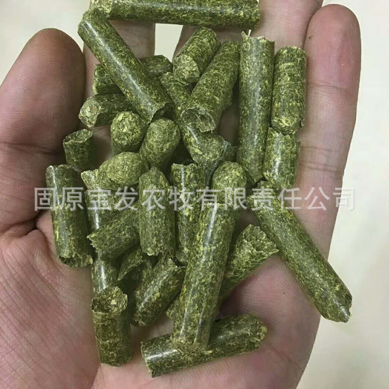 编织袋装高营养鸡鸭鹅猪家禽饲草 基地种植紫花苜蓿草颗粒