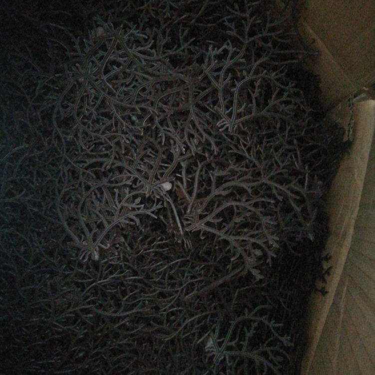 QQ截图20180815123041