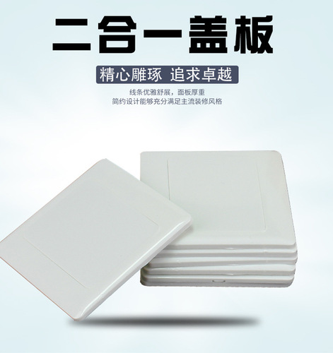 Factory-made and self-sold two-in-one cover plate, switch and plug wall switch two-in-one blank cover plate, panel