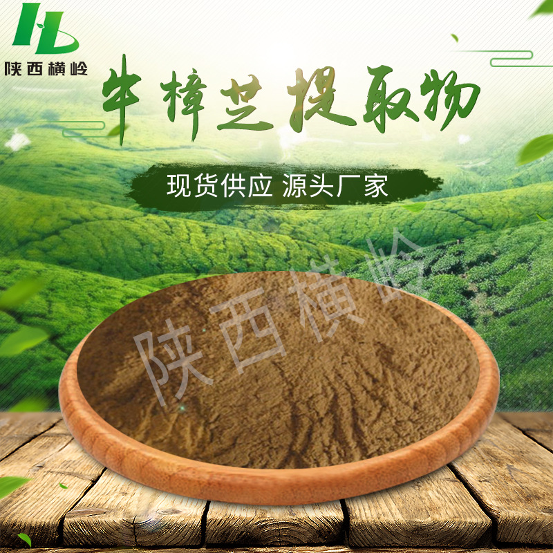 牛樟芝多糖  50:1比例台湾牛樟芝提取物  牛樟芝粉 可1kg起订