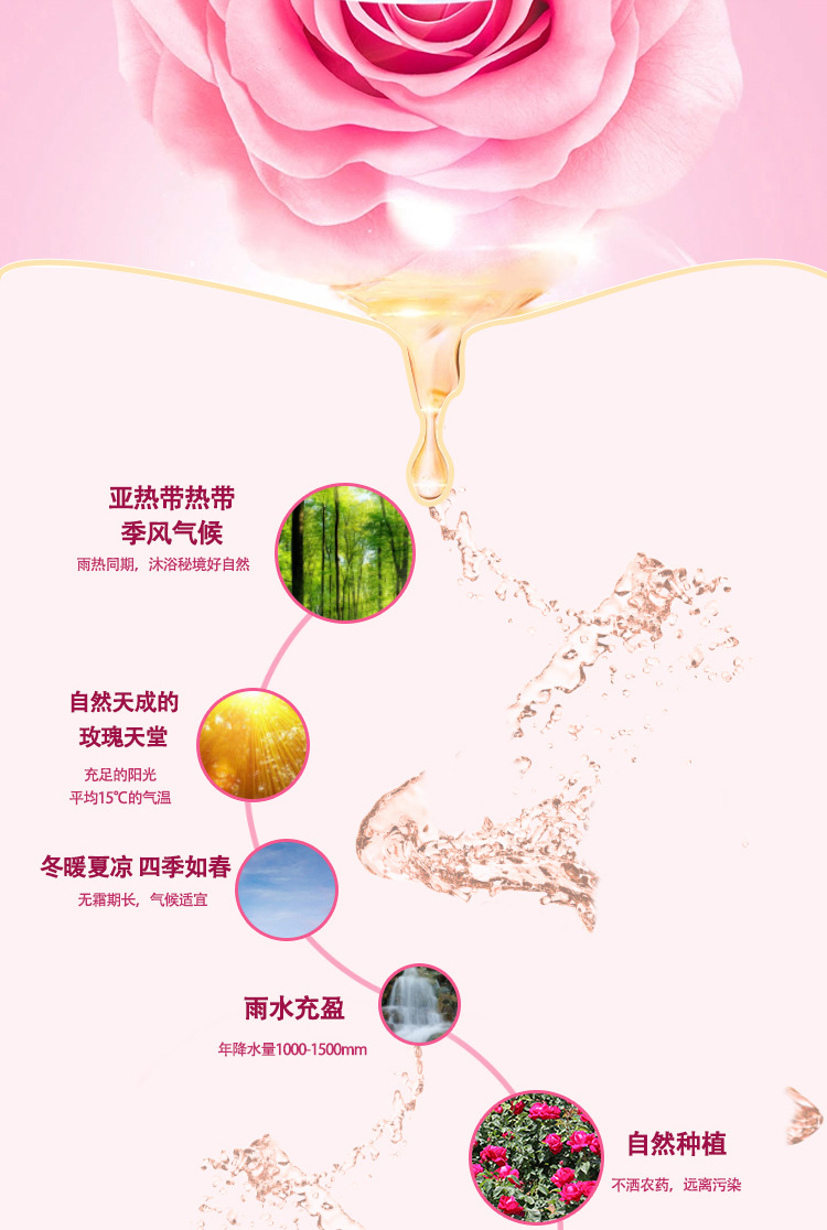 玫瑰精华水c_03.jpg