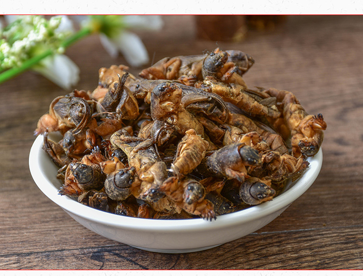 Lou Gu Dried (Gryllotalpa orientalis) — Whole Clean Oriental Mole Cricket Herb key features