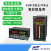 XWP-TX823/T823双回路智能数显表 光柱数显仪表 数显控制仪