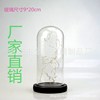 a living room desktop Decoration Spend eternity Glass cover