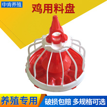 �����Bֳ�P �Bֳ�Ԅ�ι�ϱP�O���Ԅ����ϱP ȫ�Ԅ��u���Ͼ����