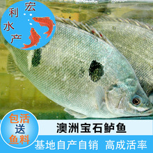 �����|Ʒ�N�����ތ�ʯ�|�~�� ��ˮ�|�~�� �V�|�~�����l ����ֱ�N