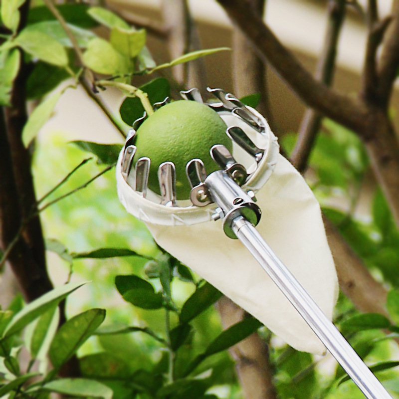 藤原高空摘果器神奇水果采摘器摘苹果柿子不锈钢伸缩杆摘果工具