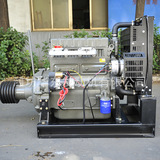 Сельскохозяйственный механизм дизельный двигатель фиксированная мощность двигатель внутреннего сгорания ZH4102G Электрический старт