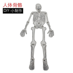 �Ƽ�С���� ���w�Ǽ� �ƌW���ģ�����w����ƴ�D �������DIY�̾�