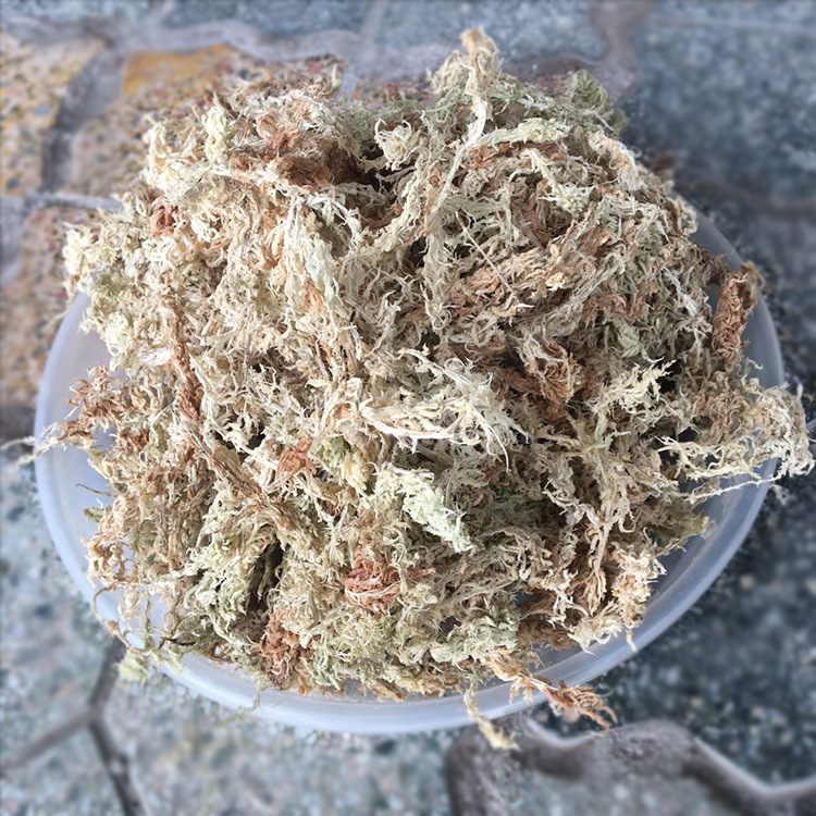 水苔干苔藓兰花兰草蝴蝶兰专用植料高品质水苔栽培基质批发 阿里巴巴