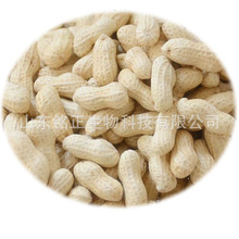 ˮ����Ư�ׄ� ��ֹ��֮��l�ڡ��l�S ���ƻ����İ׶�