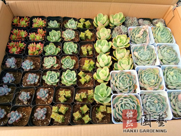 微信图片_20180130111544