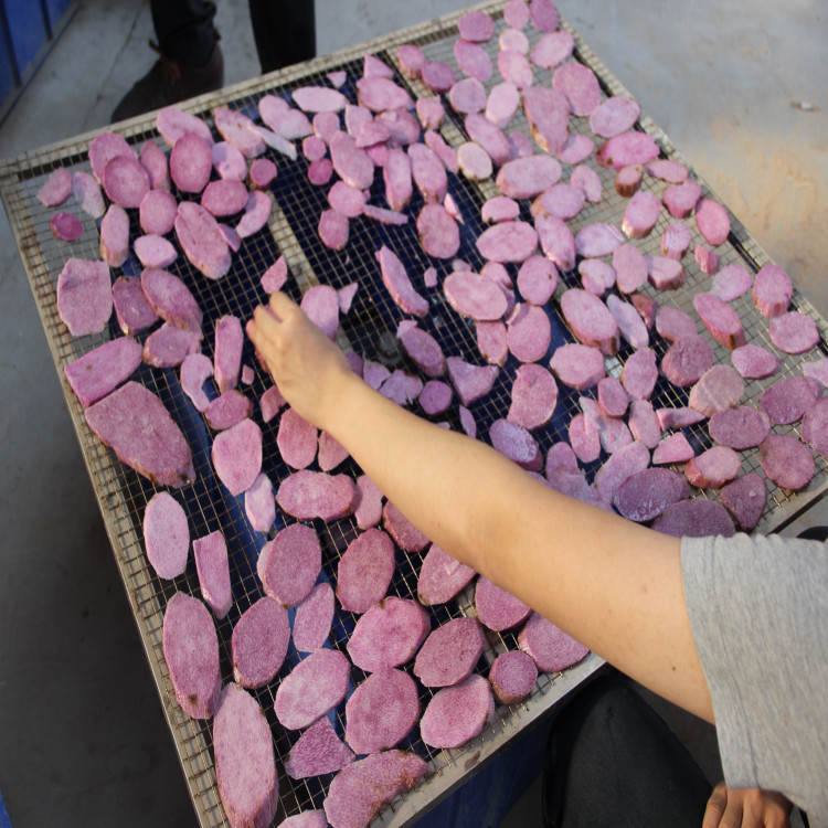 ����ɽ��ɻ� ɽҩ������ˮ�豸���� �������ȱú�ɻ�