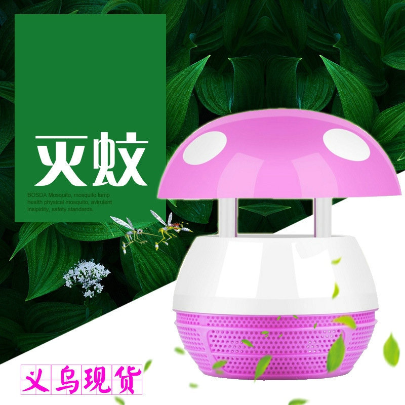 4219747449_1111896617