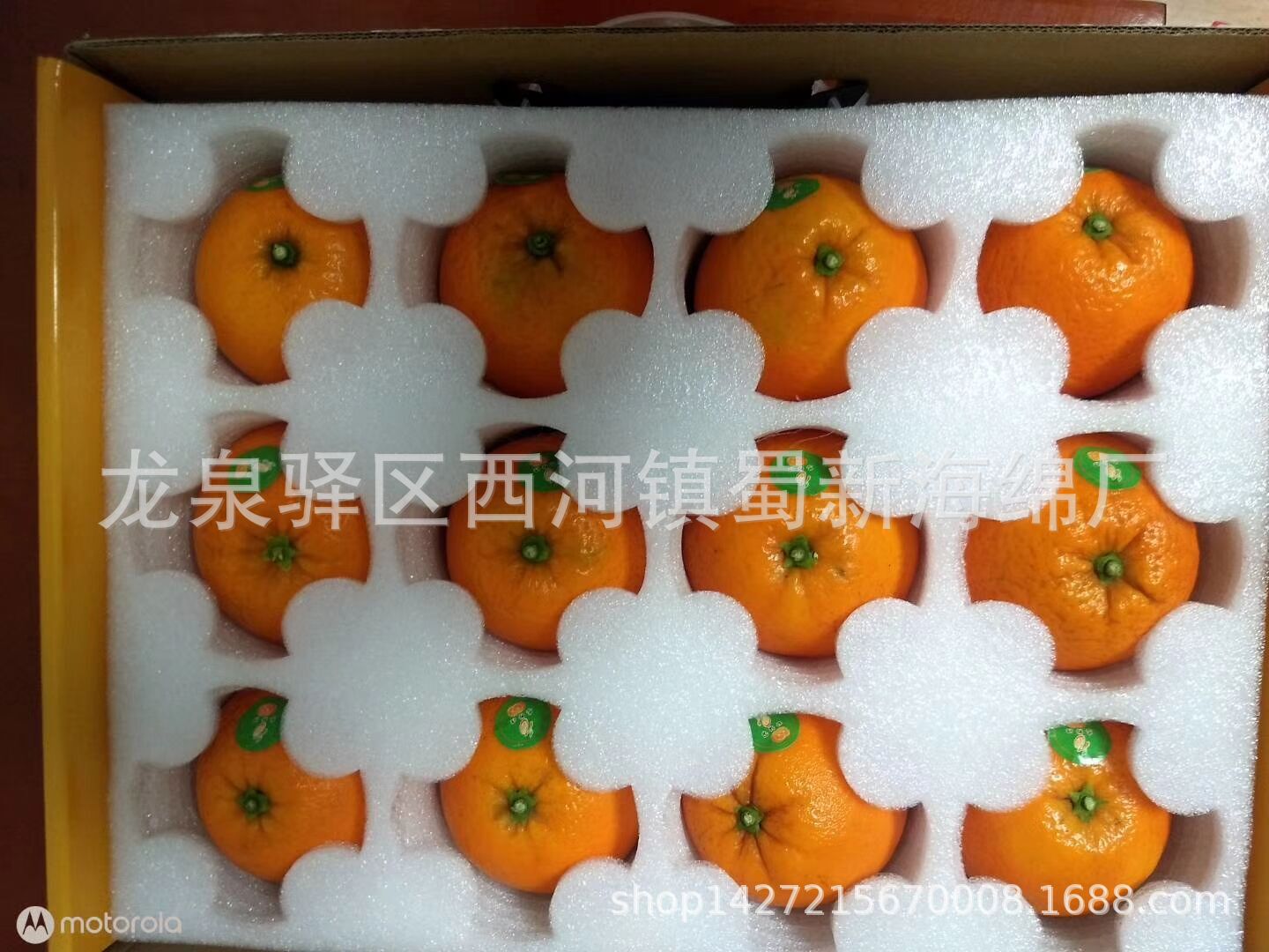 供应白色珍珠棉橙子包装海绵泡沫/水果包装海绵泡沫/橙子包装海绵