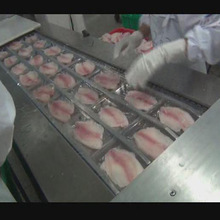 ţ��������հ��b�C  ������ţ�����a����Ĥ���b�C���a����ʡ�ɱ�