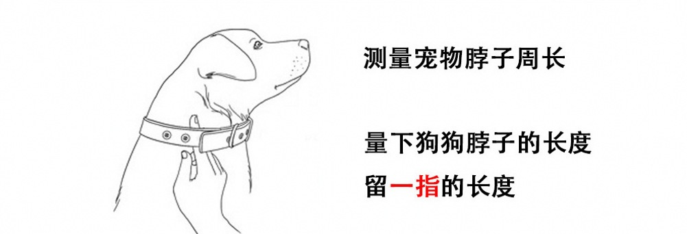 fdsfdadfdy58a_conew1