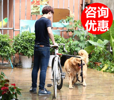 宠物用品自行车牵引绳牵狗带尼龙胸背一件代发厂家直销亚马逊爆款|ms