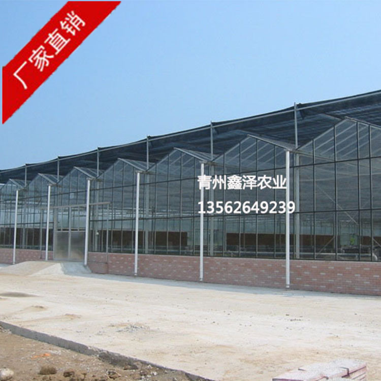 热镀锌玻璃温室大棚 玻璃温室大棚 玻璃温室报价 玻璃温室厂家